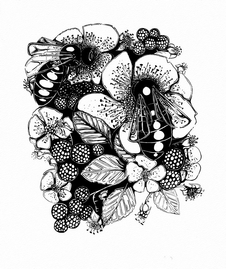 Two Bees and Blackberries