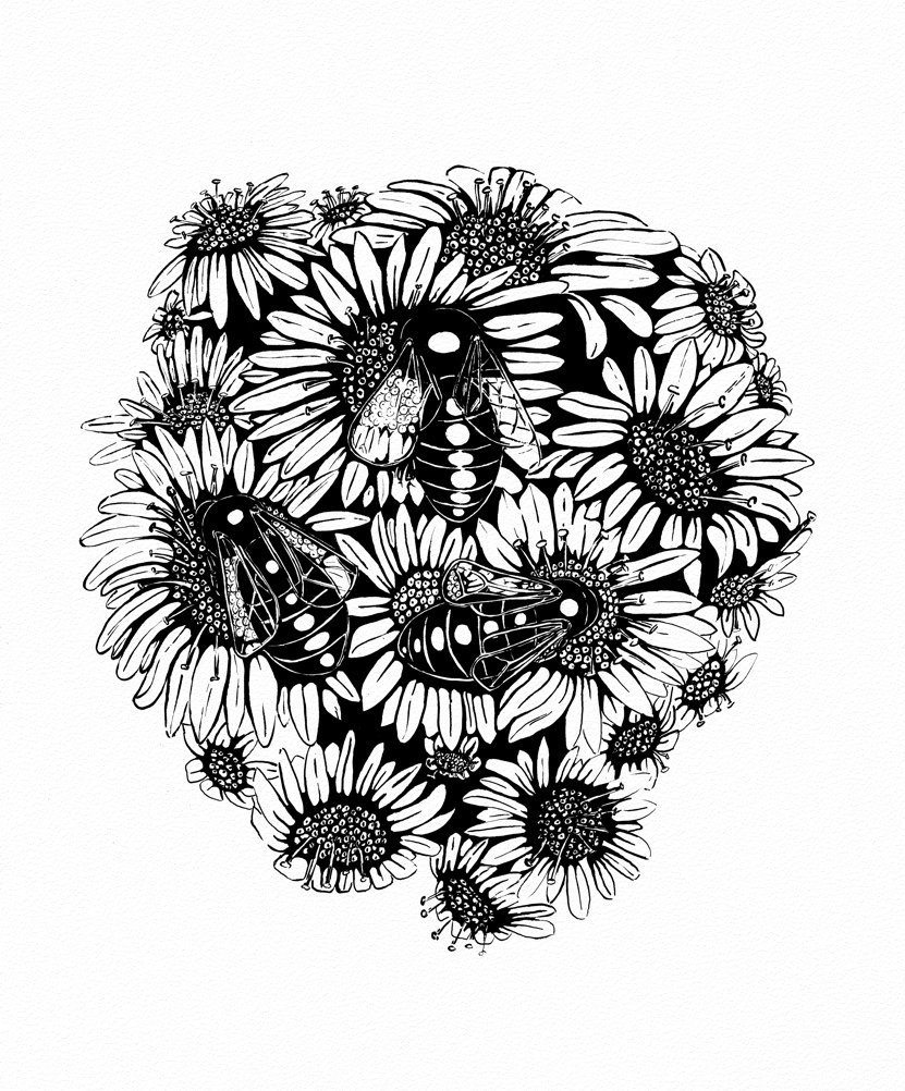Three Bees and Daisies