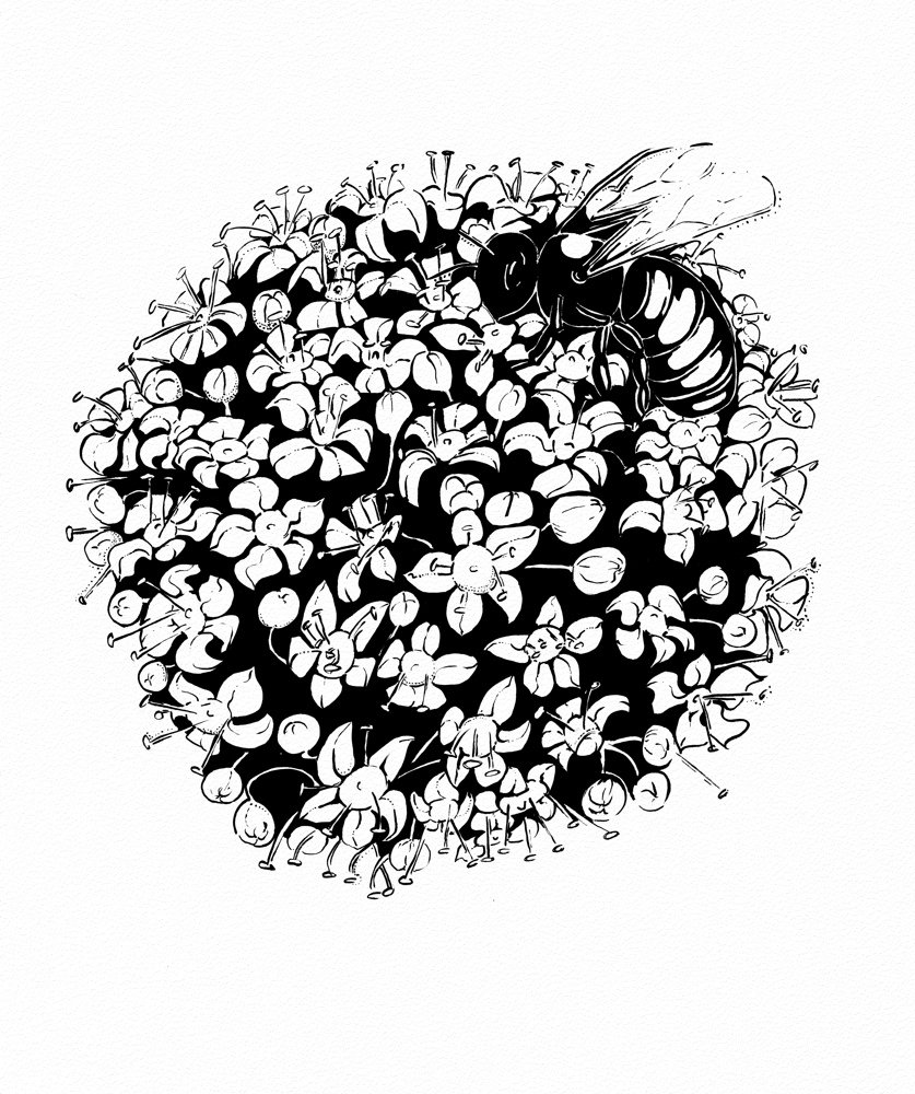 Bee and Ivy FLower