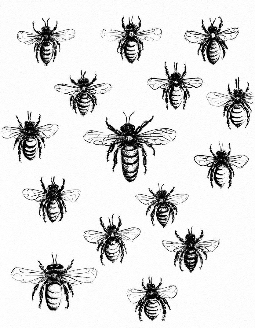 Swarm