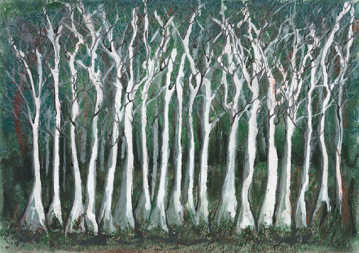 Birch Row