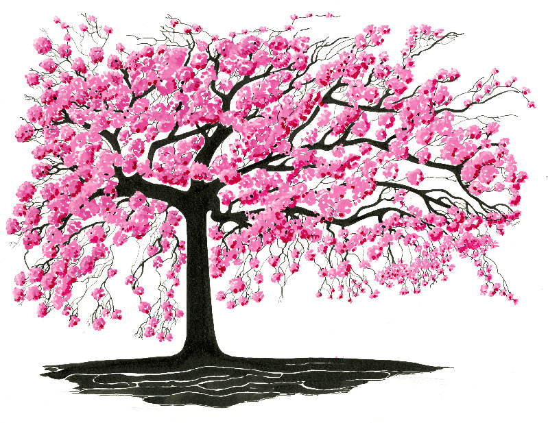 blossom