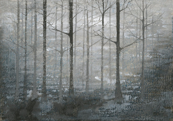 Misty Wood