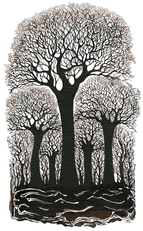 Dark Wood