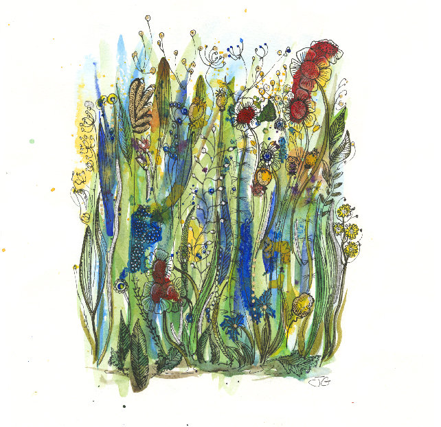 Seed Heads and Flowers 2