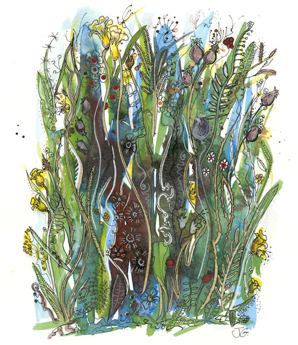 Seed Heads and Flowers 1