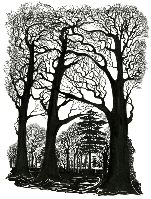 three tall trees