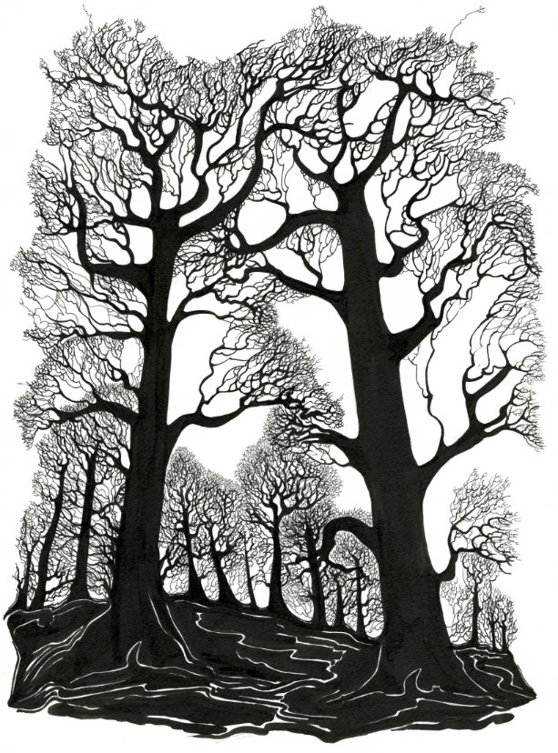 Two Tall Trees