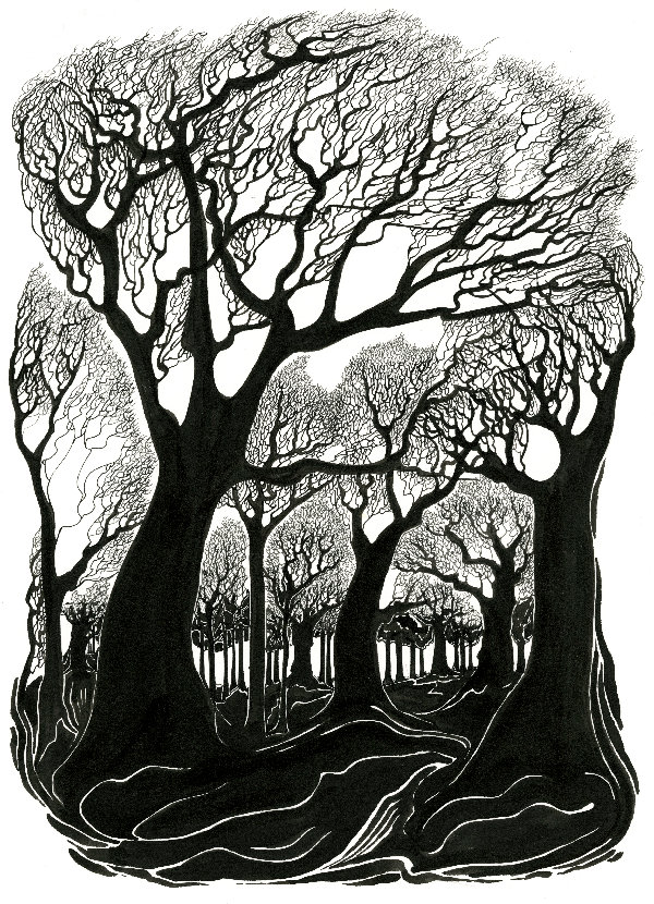 Winter Wood