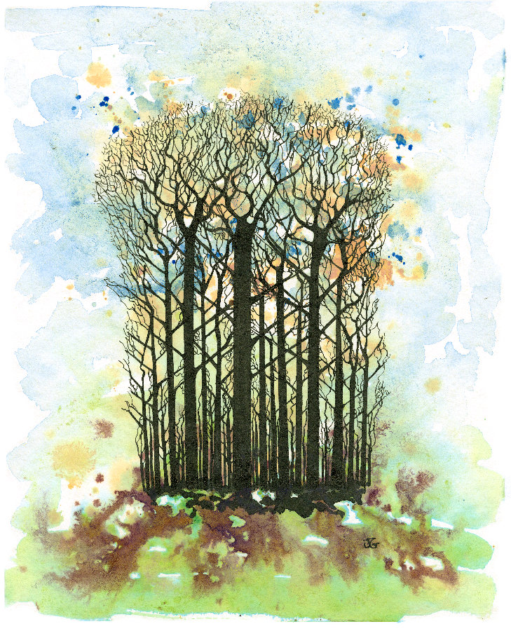 Coppice Wood