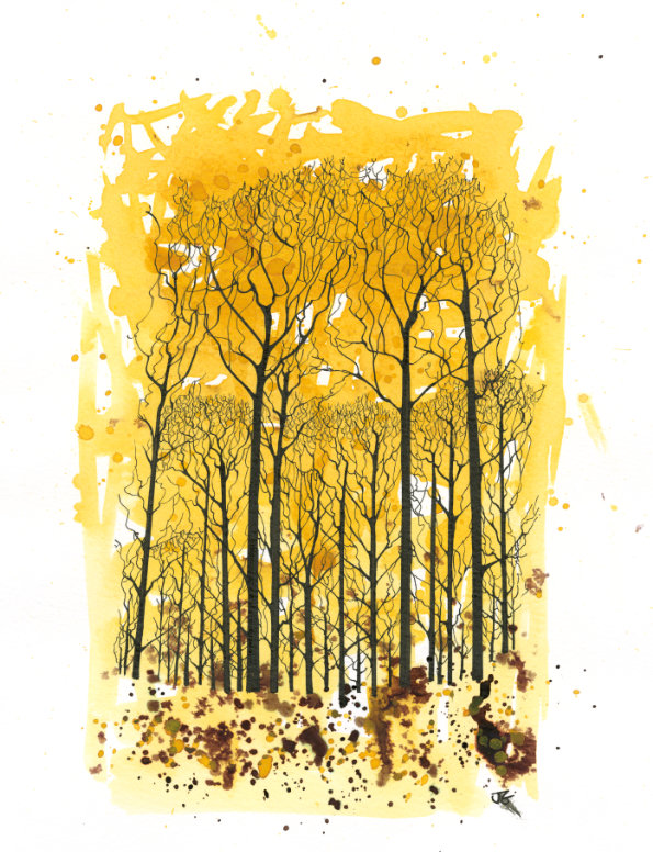 Autumn Wood