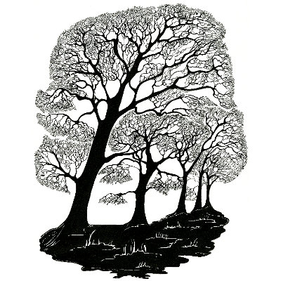 Avenue of Trees