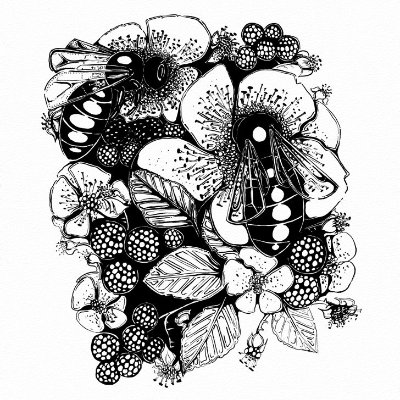 Two Bees and Blackberries
