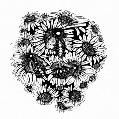 Three Bees and Daisies