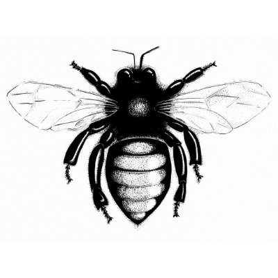 Worker Bee