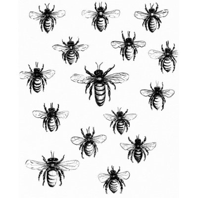 Swarm