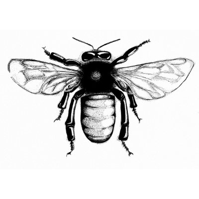 Drone Bee