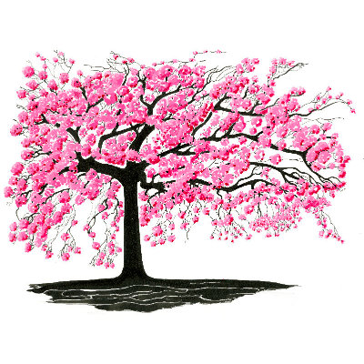 blossom