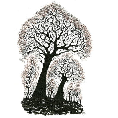 canopy