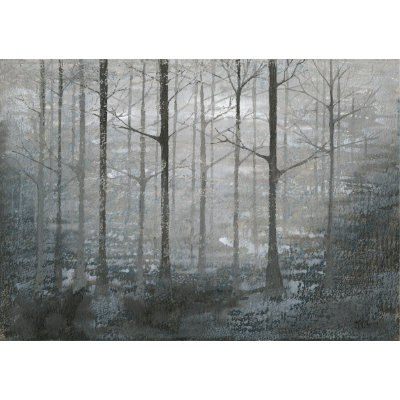 Misty Wood