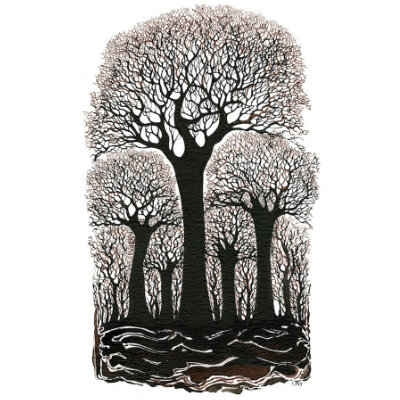 Dark Wood