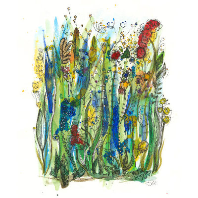 Seed Heads and Flowers 2