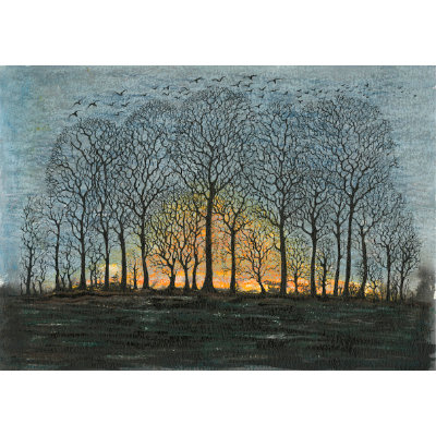 Sunrise