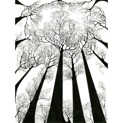 tree tops