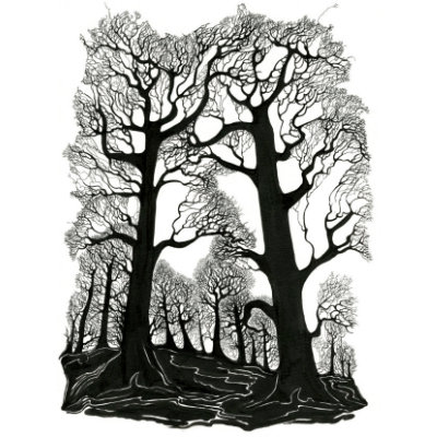 Two Tall Trees