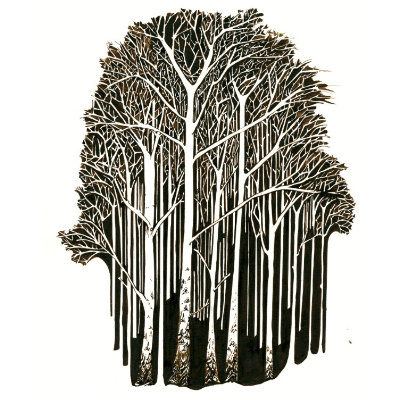 Silver Birch
