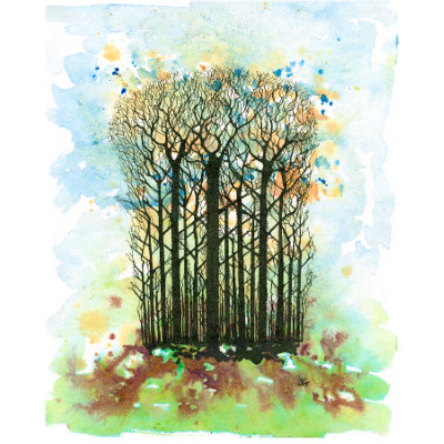 Coppice Wood