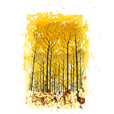 Autumn Wood